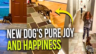 Pure Joy and Happiness as Kids Welcome Their New Dog After 4 Years of Losing One