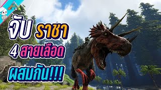 จับ ราชา 4 สายเลือดผสมกัน ไดโนเสาร์สุดแข็งแกร่ง screenshot 4