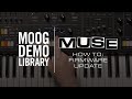 Muse | How to Update Firmware