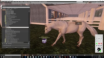 Setting Up a Teegle Horse AO Applier