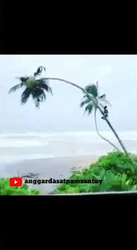 Story wa lucu - kowe tak sayang sayang