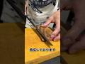 長崎 壱岐 の 天然本マグロ! 熟成させます!6/29投稿 #せり人ムタロー #刺身 #shorts