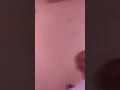 الشيخ عبد النور في رسمة غزالية بعنوان ڨمري هاك اوصايآ