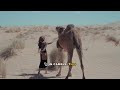 Dromedary Mating Rituals Explained: Complete Guide to Reproductive Strategies