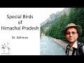 Delhibird talks special birds of himachal pradesh dr abhinav