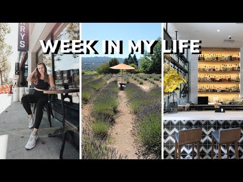 barry's-x-lululemon-collection,-giants-game,-prsa-sierra-nevada,-wine-tasting-🍷-weekly-vlog