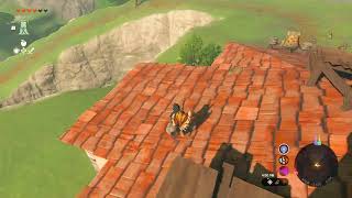 What happens if you escape Robbie's tutorial? | Tears of the Kingdom