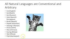 ENG 491 wk 1.1.b Language is Conventional 