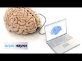Интерфейс «мозг — компьютер» | Вопрос науки с Алексеем Семихатовым