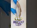 真鱈【鮮魚】の三枚おろしは難しいのでコツがいります #真鱈 #タラの捌き方 #鱈