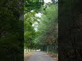 something about 8am morning walk in nature is so comforting #summer #vancity #nature #naturelover