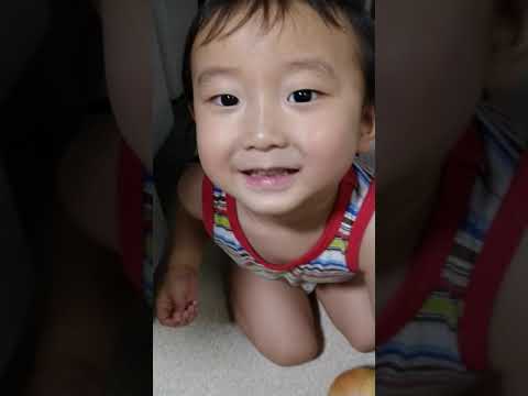 僕がやる！