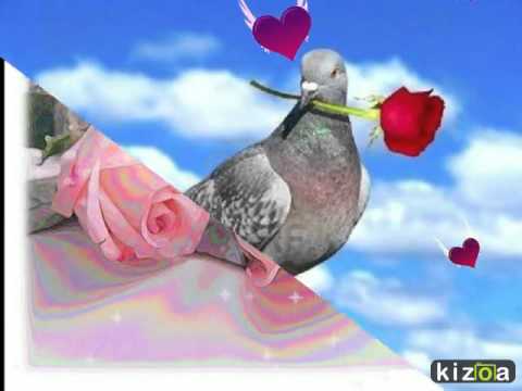 montage-vidéo-kizoa:-les-rose-sont-les-fleurs-de-l'amitié