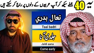تم بھی عربی بول سکتے ہو! | 40 ضروری جملے |You Can Speak Arabic Too! | 40 Essential Sentences screenshot 2