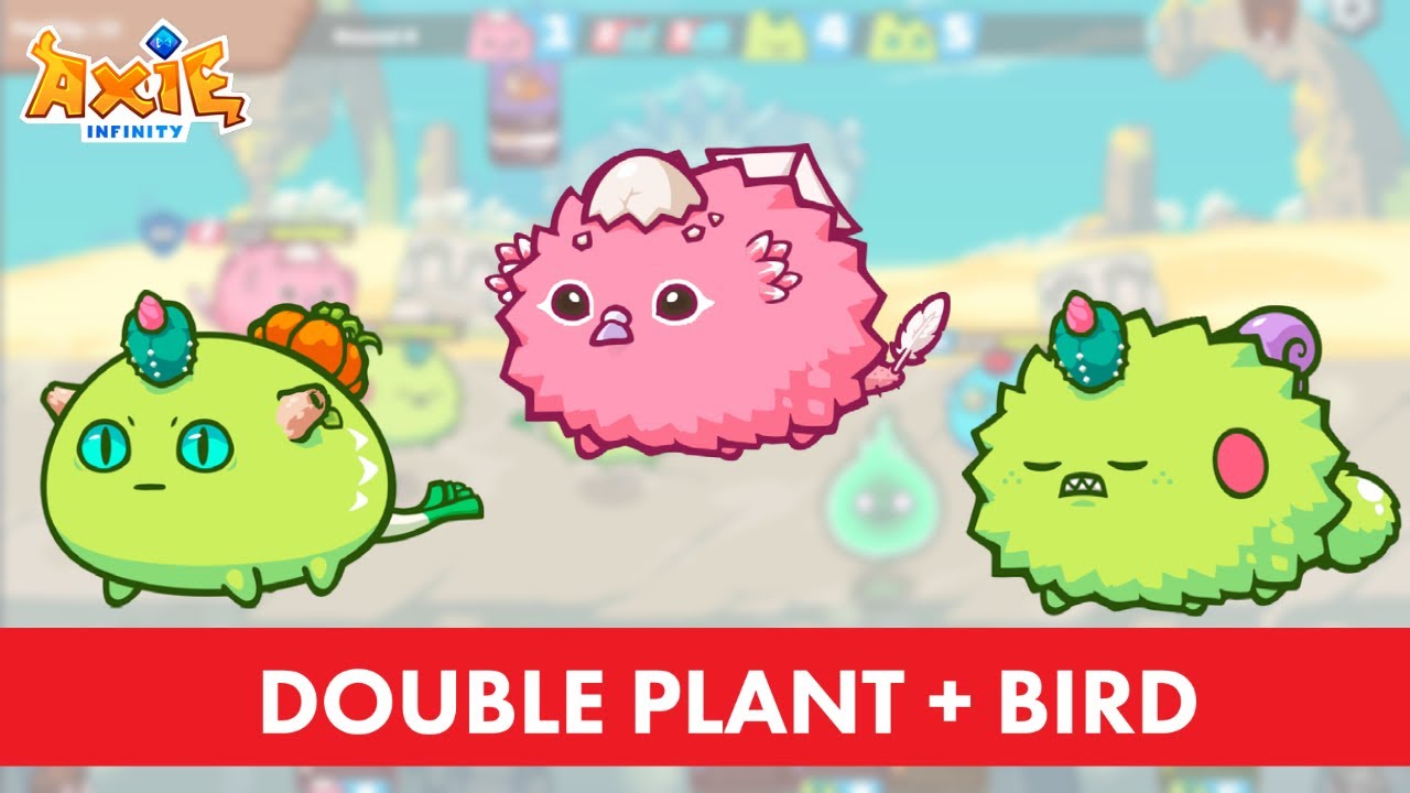 Is Double Plant + Bird Good in Arena? | Axie Infinity