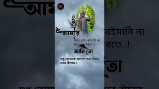 Ami Sudhu Tomar Kache Ektu Valobasha Cheye Chilam