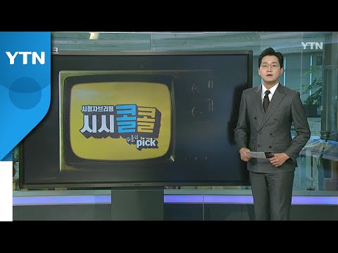 [2월 6일 시민데스크] 시청자브리핑 시시콜콜 위클리 픽   / YTN