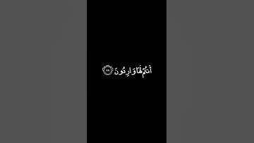 شاشه سوداء)قران كريم☘️ناصر القطامي🌱حألات#واتس-ستوريات سلاميه☘️