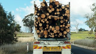 New research indicates logging increases fire danger