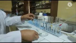 |Salt Analysis of Pb(NO3)2, Brown Ring Test| Class-12 board practical