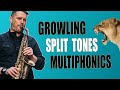 GROWLING, SPLIT TONES & MULITPHONICS