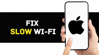 How to Fix Slow Wi-Fi on Your Phone (2024)