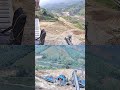 Hình ảnh và âm thanh Camera 4G năng lượng mặt trời thu nhận được