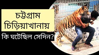 Tiger attacks at the Zoo | Tiger Joe Biden