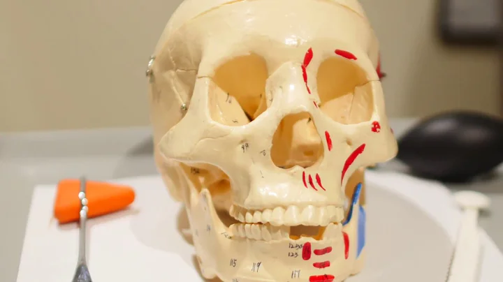 Nasal Release  -Dr. Robin C. Harkins DC BCIM BCFN