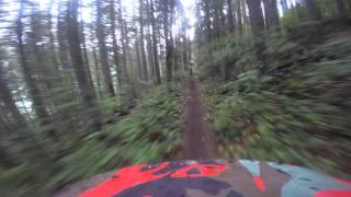 Timberline to town