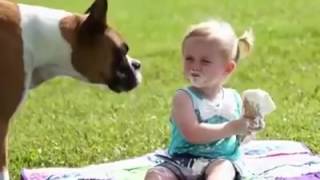 Whats App New Funny Videos   Free Download   Whats app Calling   New Videos 2015 screenshot 3