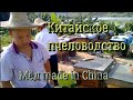 Китайское пчеловодство. Мёд made in China!