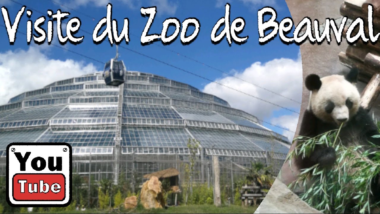 Une visite au Zoo de Beauval