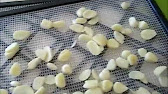 How to Dehydrate Garlic - YouTube