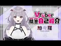 【自己紹介】Vtuber一問一答自己紹介 / 紗々羅 【新人Vtuber】