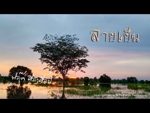 บรรเลงพิณ ลายเย็น - ฟลุ๊คกี้ ศิลาศิลป์ [Picture Version]