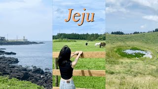 [Jeju Vlog] 제주여행 6분 요약 zip. | 제주 서쪽 코스 | 금오름 | 성이시돌목장 | 고내포구 | 애월. 한담. 곽지해변
