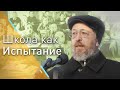 Школа как испытание (Борис Кагарлицкий, Всеволод Луховицкий)