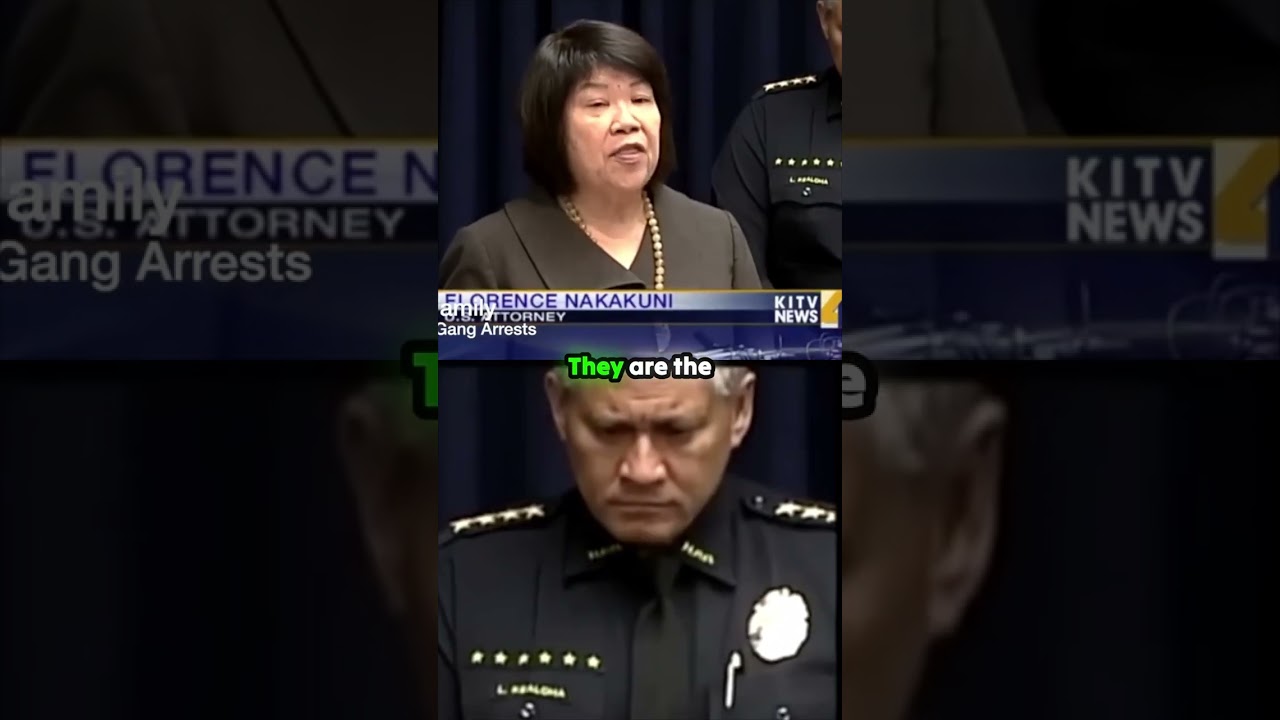 Hawaii's Hidden Empire: The Unstoppable Reach of the Uso Family. 🚨