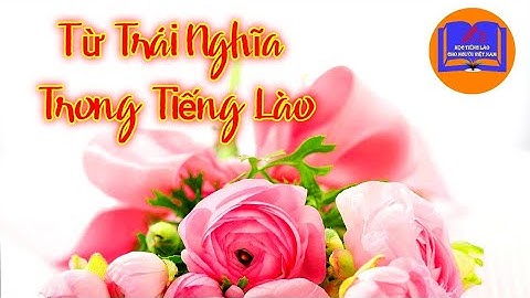 Từ Trái Nghĩa Trong Tiếng Lào | Từ Vựng | Học Tiếng Lào Cho Người Việt Nam