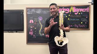 BSM Pregnancy 1