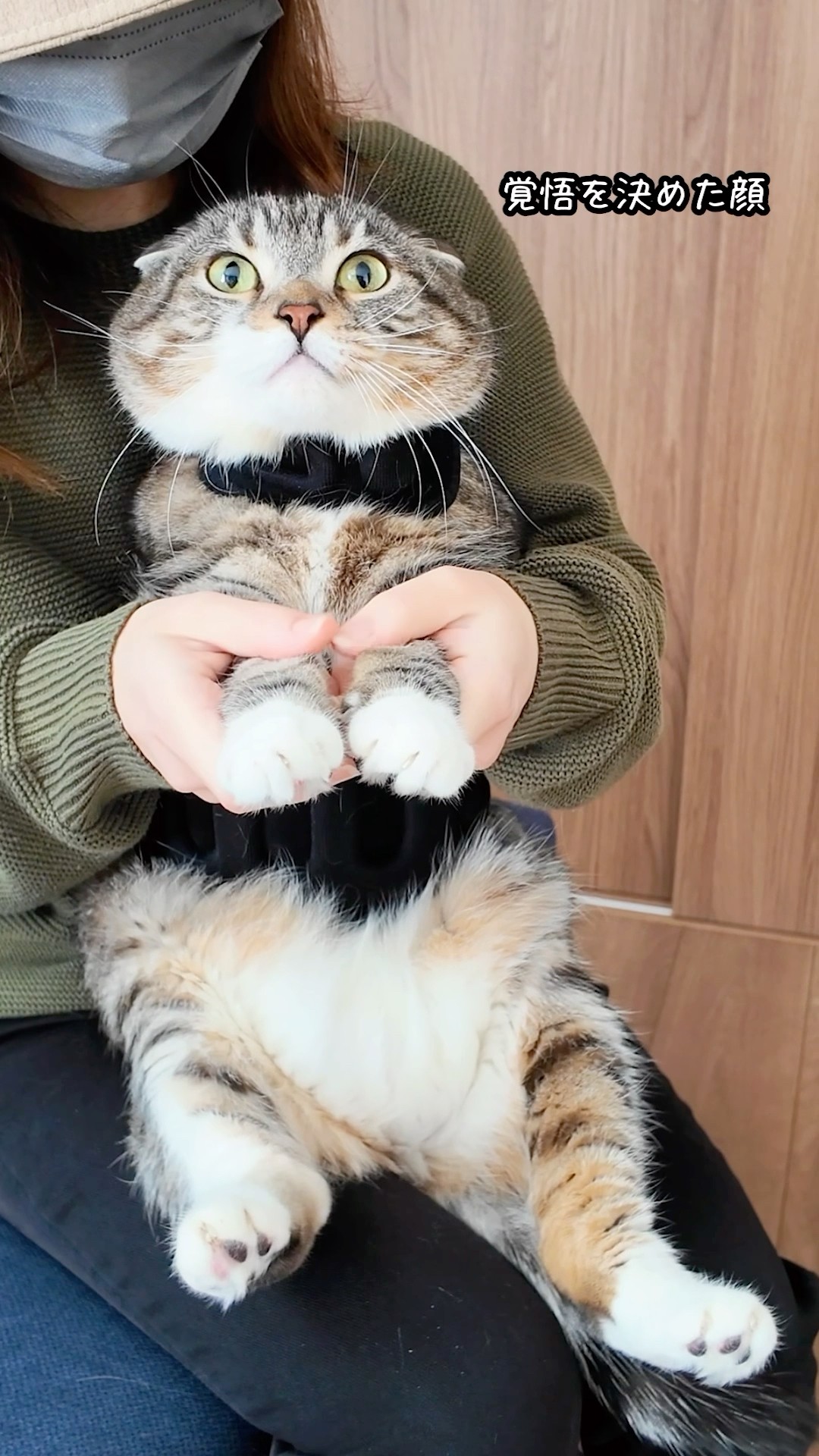 爪切りNYAN CARE CHOKK 猫用ハーネス　にゃんケアチョッキ　マクアケ ネコちゃんの爪切りに本気で向き合い誕生した、着るだけで動きが