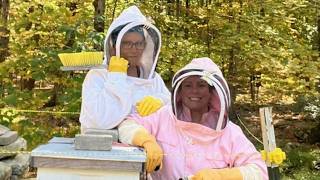 Live Hive Inspection Robbing Prevention Measures