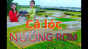 Cá lóc nướng rơm món ăn dân dã dân quê