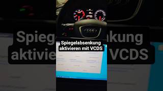 Spiegelabsenkung mit VCDS aktivieren #automobile #vcds #audi