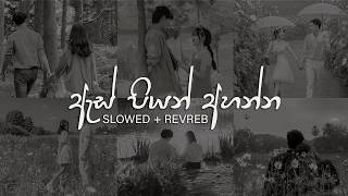 Sudeera Dilshan Best Songs Collection | Manoparakata Sinhala Song | Best Slow Reverb Song Collection
