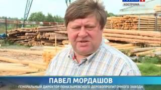Сделано в Костроме. Производство опор ЛЭП на Поназыревском деревопропиточном заводе.
