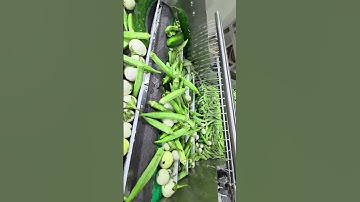 Máy rửa sục khí 500kg/h – Tech Garden. Lh  0935.911.775 (Zalo/WhatsApp – Trần Trinh).