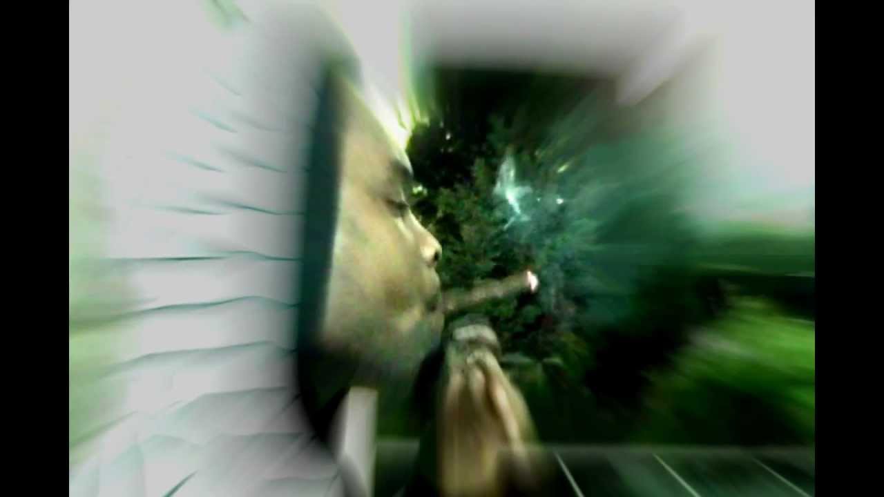 Shellz Feat. Presidential P.A  -  Like A Party