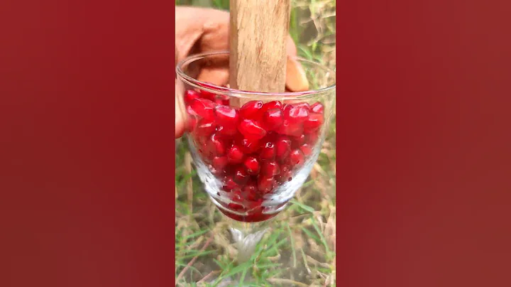How to make Pomegranate Juice Without any juicer 🍹🍹🍹#shorts #pomegranatejuice #summerdrink #juice